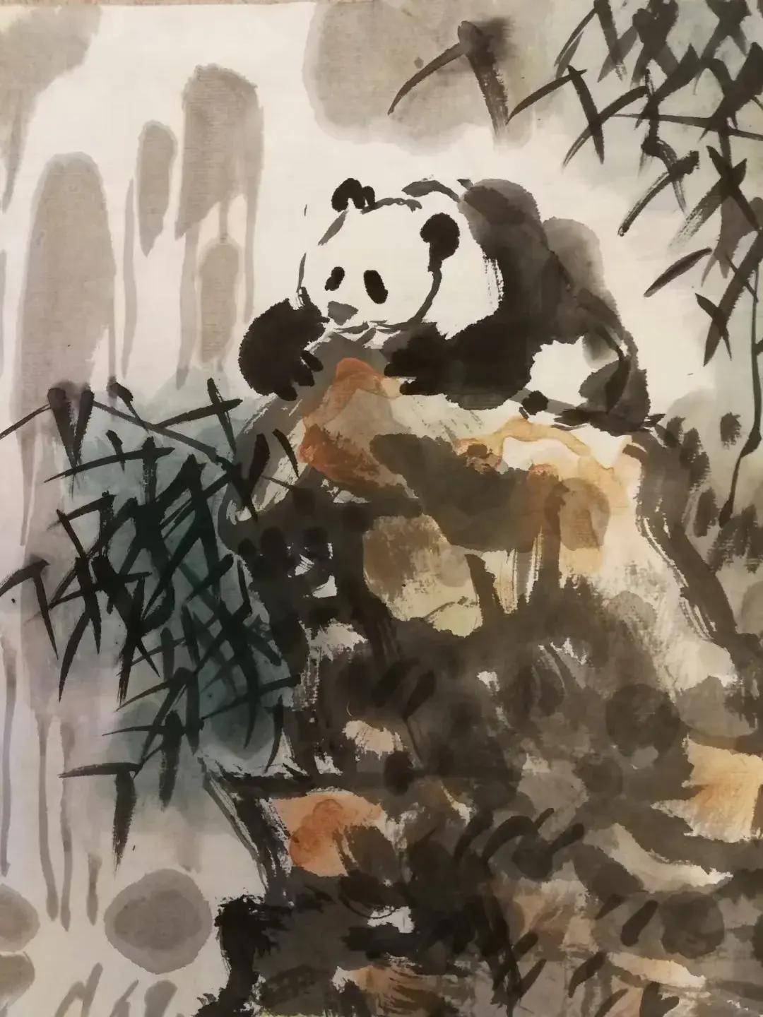 张达煜 丨花鸟作品欣赏一一熊猫