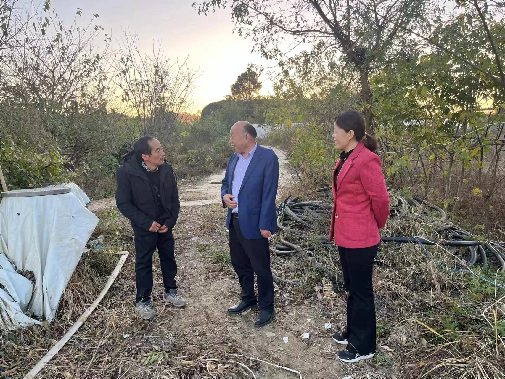 天都园艺职业培训学校在庐江盛桥镇开展残疾人食用菌栽培技术培训