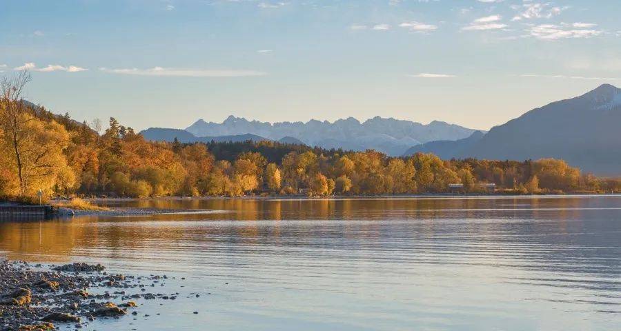 多个家电企业再度试水承包经营制-家电圈官网