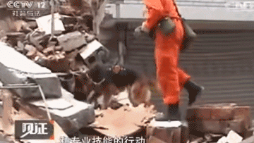 20年前的老片被顶上热搜，炸死功勋犬，导演还被夸“善良”？ 