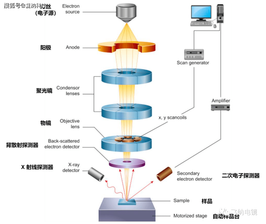 简单来说,扫描电镜是用于样品微区形貌,结构及成分的观察和分析的仪器