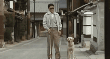 20年前的老片被顶上热搜，炸死功勋犬，导演还被夸“善良”？ 