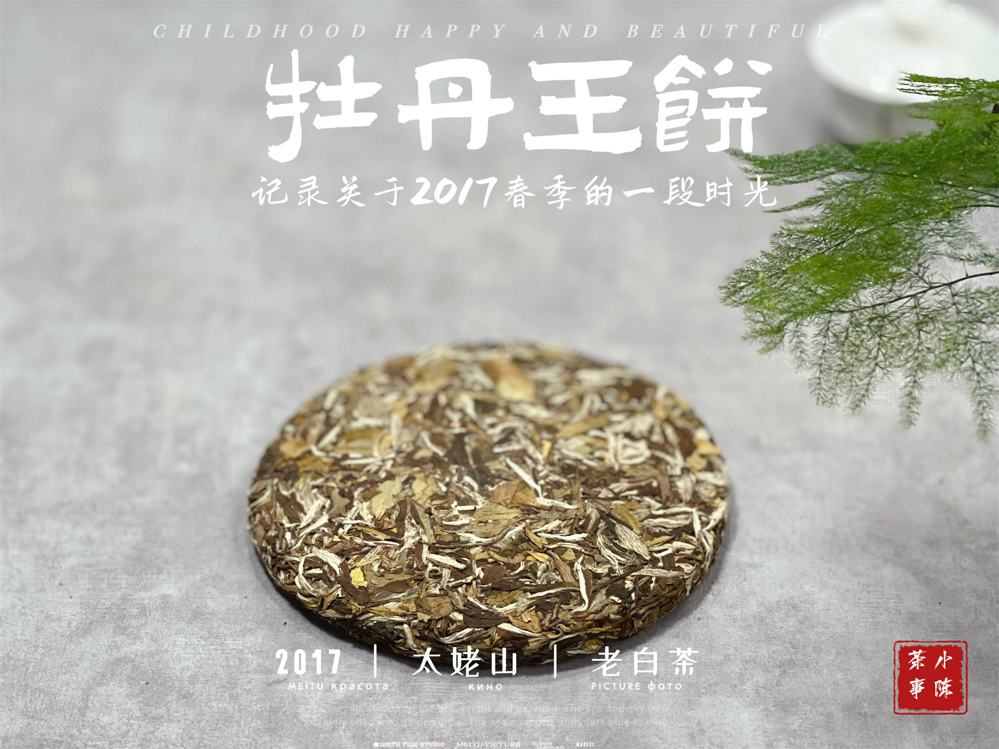 村姑陳《1》前天晚上的直播間,有位茶友現場拍下一餅2016白牡丹餅後