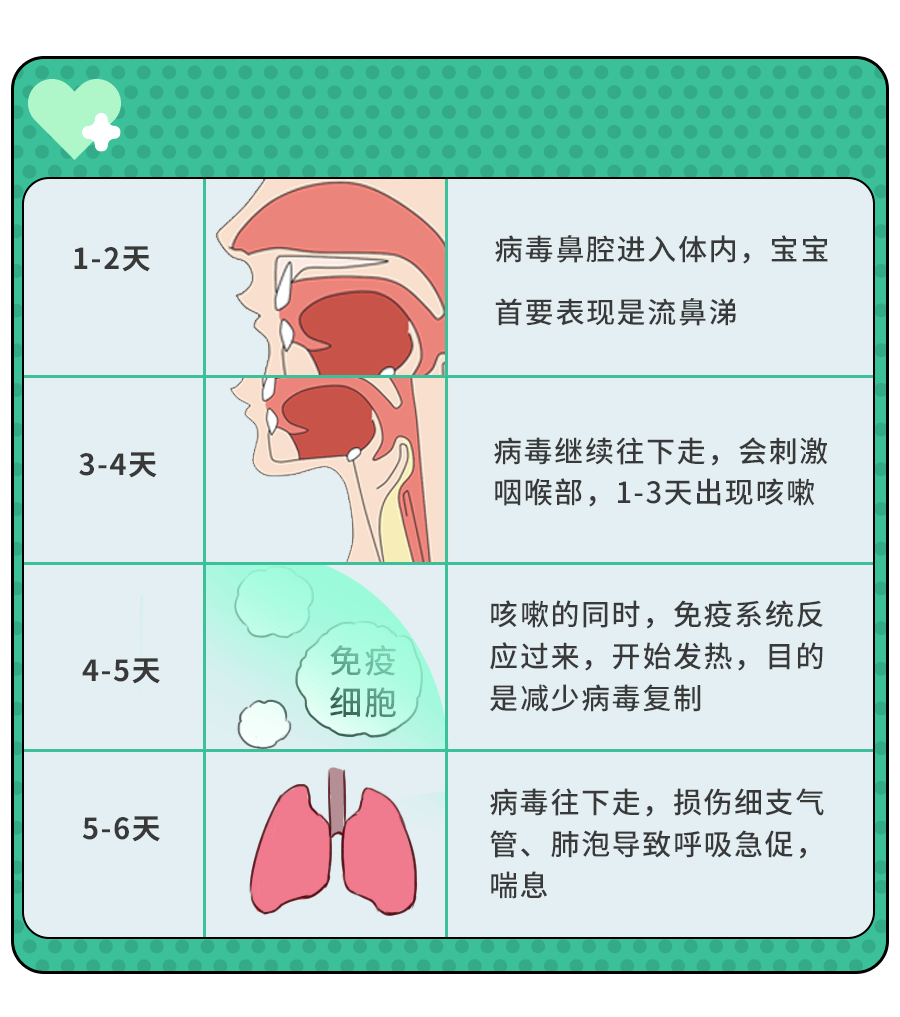 儿童呼吸道合胞病毒感染怎么办？