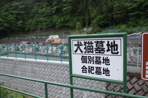宠物市场日渐“火爆”，墓地价格比房子都贵？去年规模达2065亿 