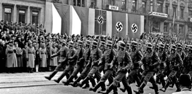 法国纳粹党图片