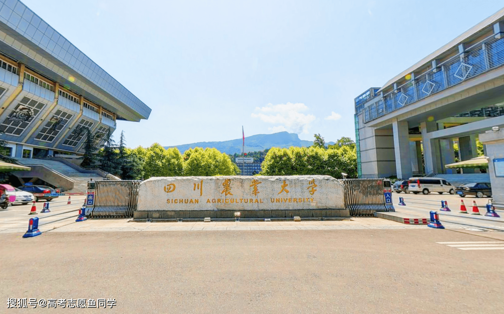 四川农业大学温江校区图片