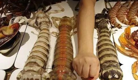 为什么泰国的皮皮虾那么大只，而中国的那么小，知道**我愣住了(图3)