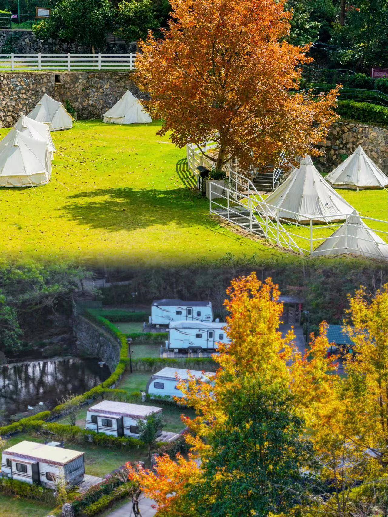 宁波人都在等的秋色终于登场了_香山_山野_房车