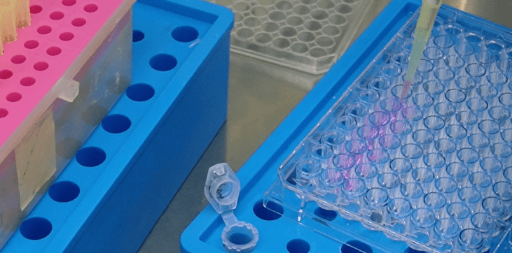 实操视频 图文 | 血管形成实验操作演示_细胞_方法_服务平台