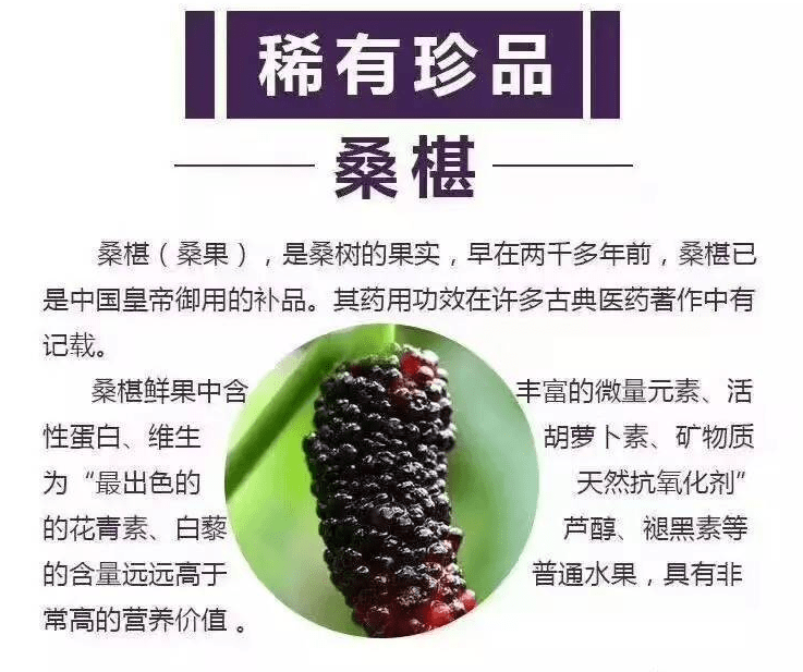 桑葚原浆多少钱一盒,这个价格背后到底藏着什么?_小白_维生素_果实