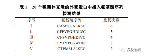 我們從最後一輪細胞裂解液收集得到的噬菌體中隨機挑選 20 個克隆