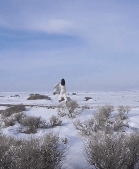 脱衣狂奔不怕冷,笑容甜蜜心情很好_成为了_雪地_雪景