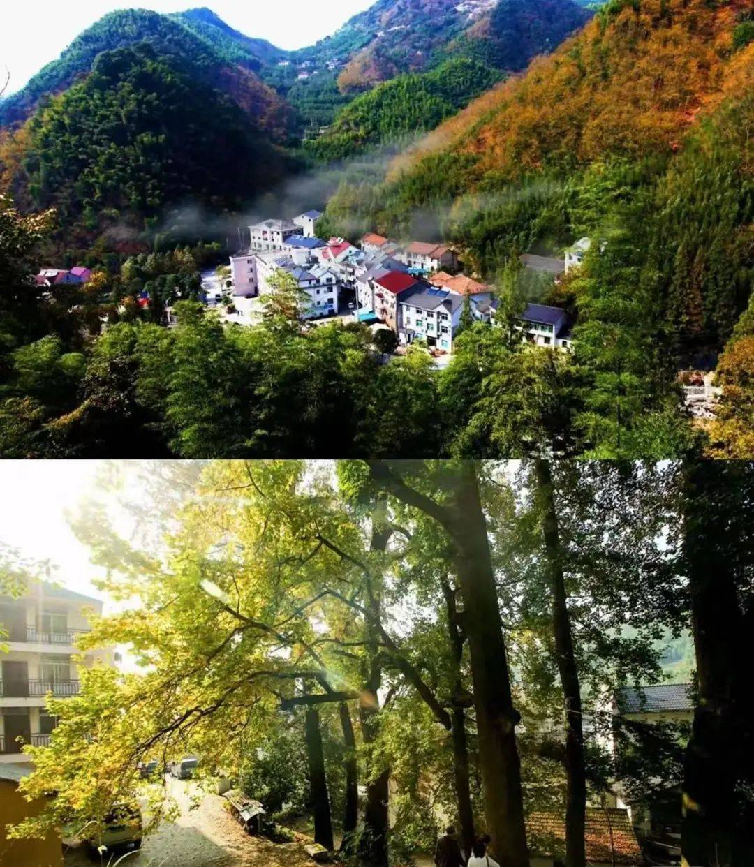 物拉拉乡村游青山湖站圆满成功!_南村_临安_大自然