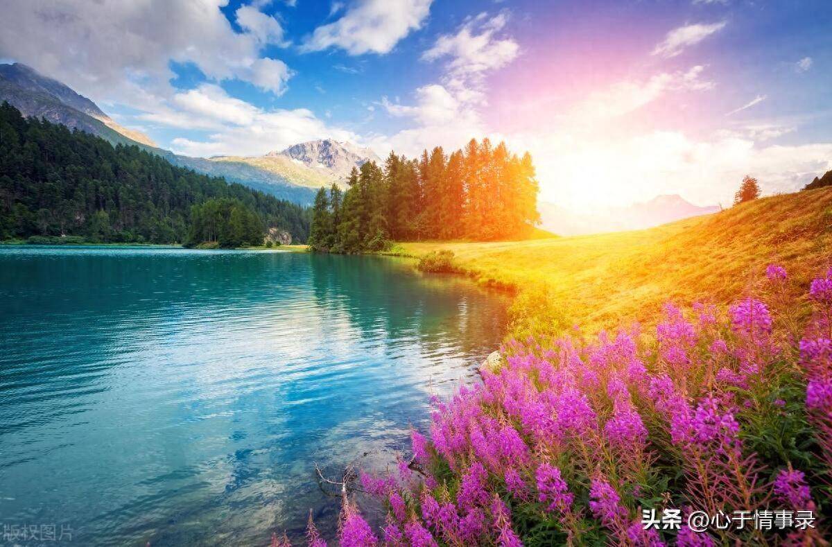 我62岁,因为一句夸赞,我和前夫离婚了,再婚老伴强10