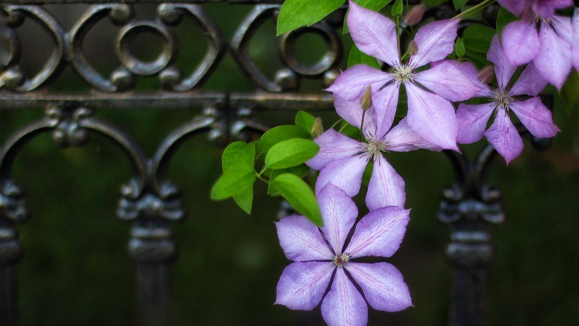 今後8月,四大生肖存款翻四番,緣分到來,財神爺貴人