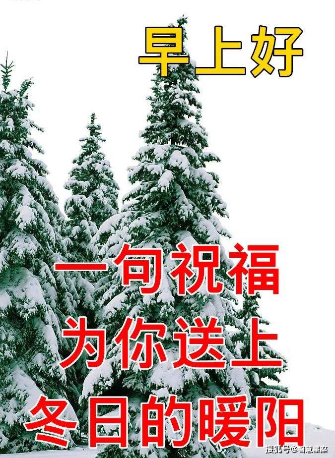 今天大雪早上好图片图片