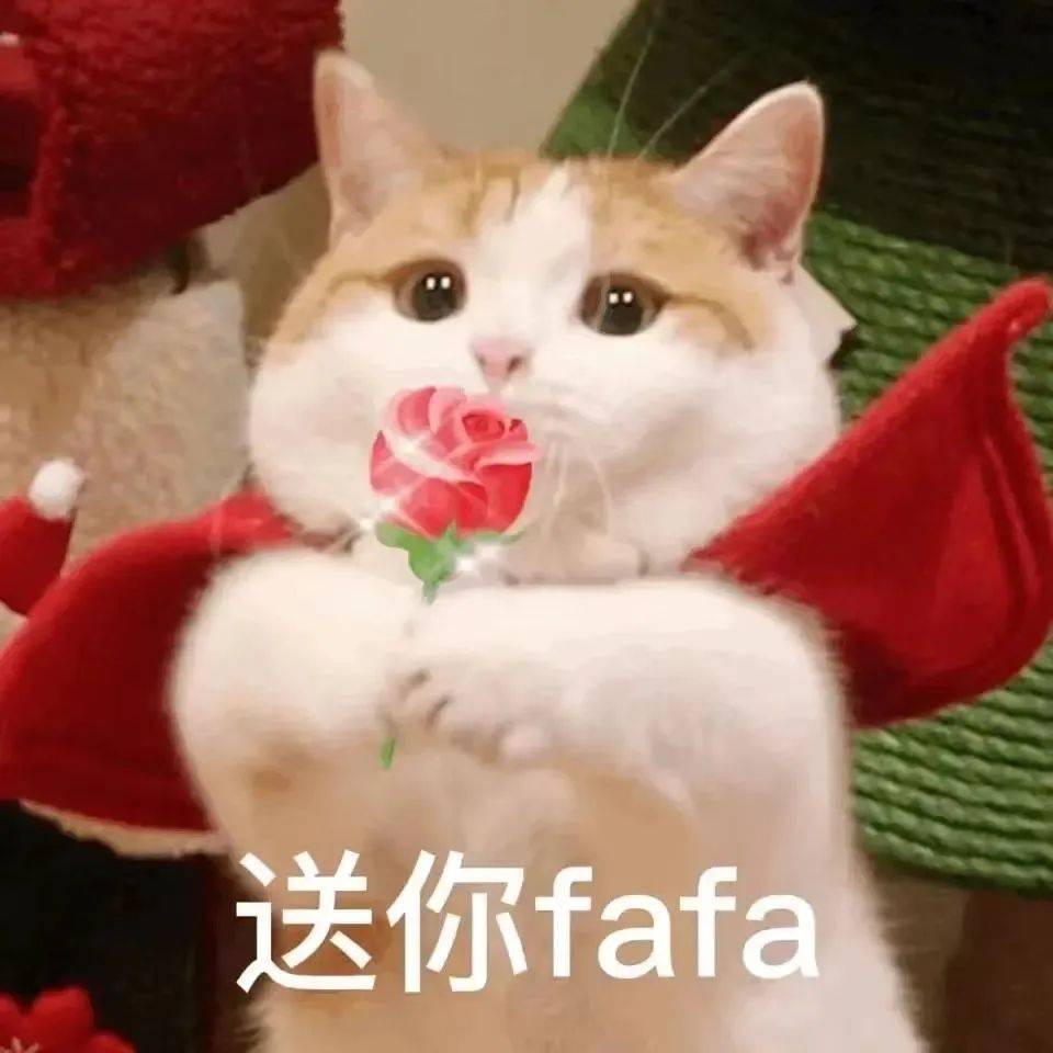 女子寻猫,坠井失踪48小时,结果猫自己跑回家了,网友:爱猫是认真的…… 女子寻猫,坠井失踪48小时,结果猫自己跑回家了,网友:爱猫是认真的……