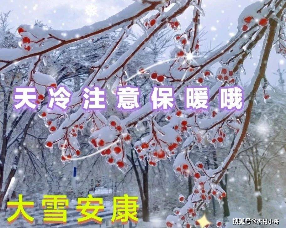 提前祝大雪节气安康,大雪动图表情包图片带字祝福大全