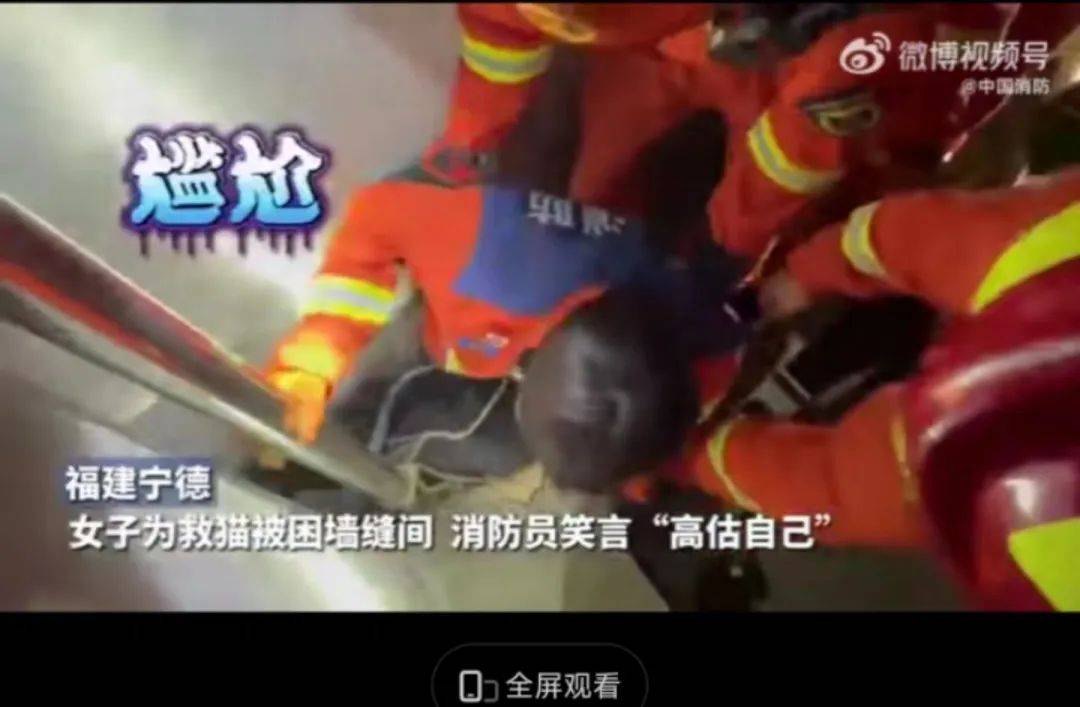 女子寻猫,坠井失踪48小时,结果猫自己跑回家了,网友:爱猫是认真的…… 女子寻猫,坠井失踪48小时,结果猫自己跑回家了,网友:爱猫是认真的……