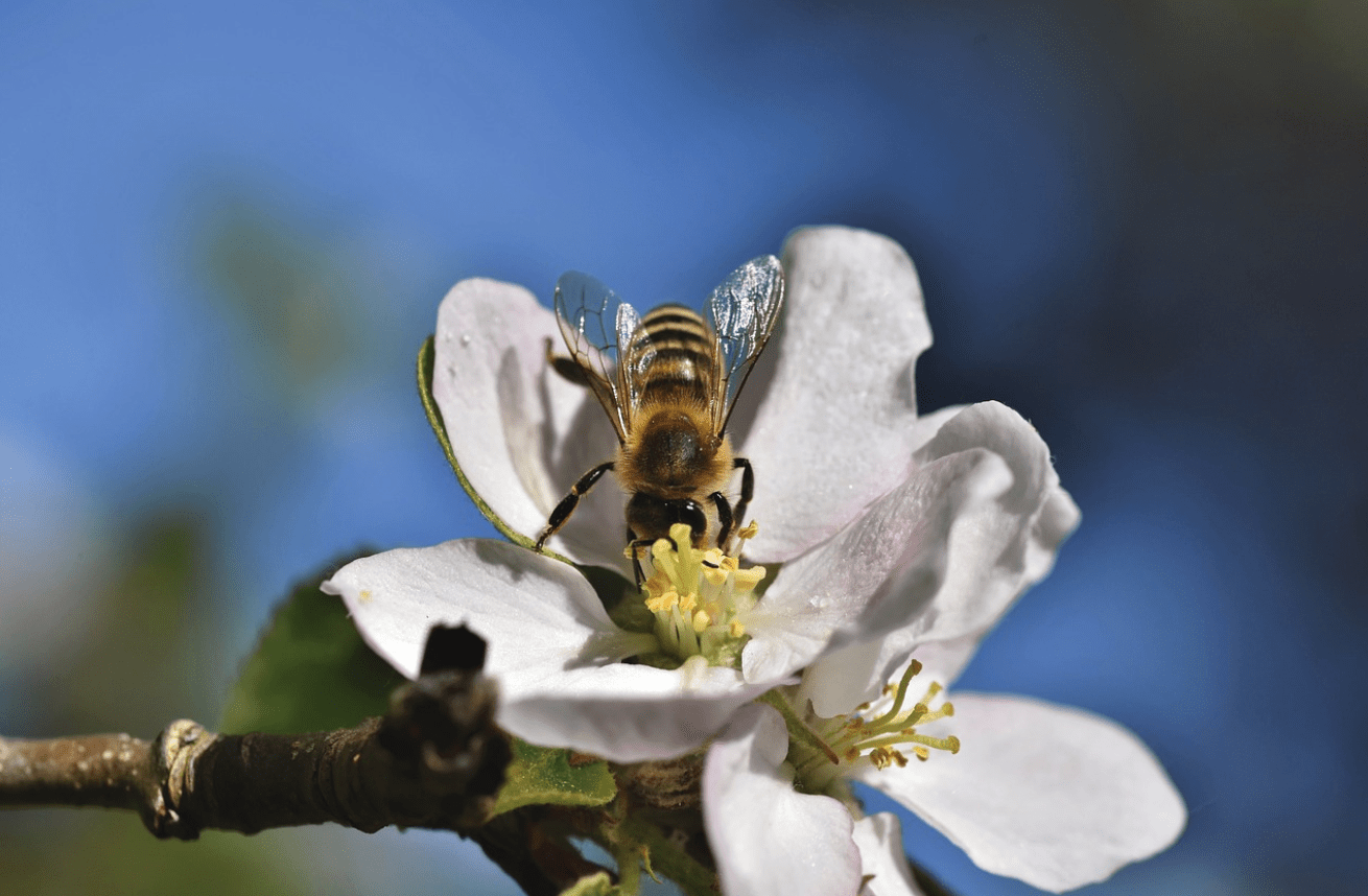 AI 帮写爬虫，真的吗？ CodeWhisperer：当然！_搜狐网