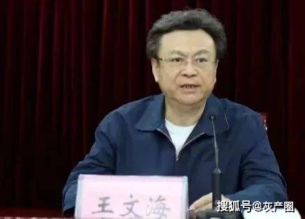 河南省司法厅原厅长王文海交通肇事顶包案后被敲