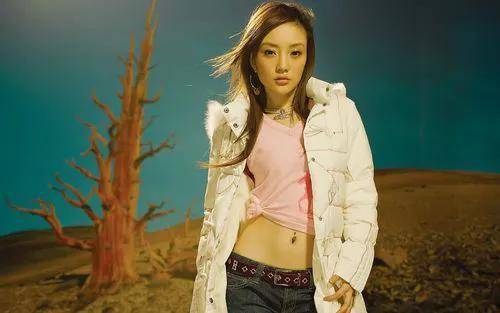 七年婚姻,仍旧没能走到最后_李小璐_观众_pgone