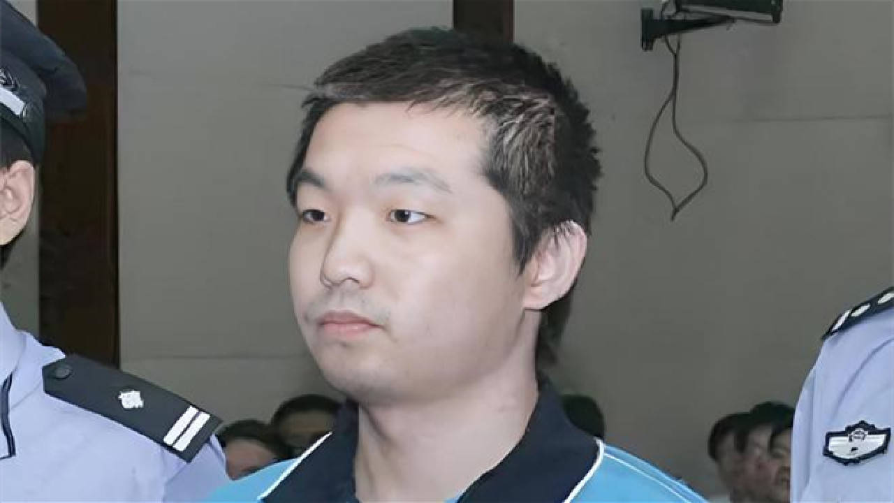 一辆50元自行车致6名警员被杀害,2008年的杨佳案,真相究竟如何_时候