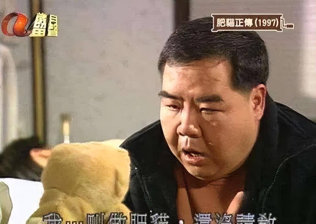 肥猫正传1997郑则仕版图片