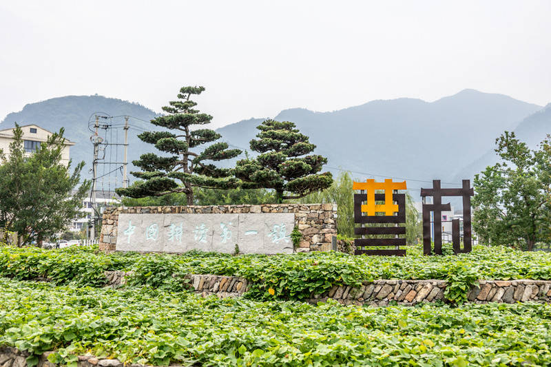 瑞安有个曹村,是镇不是村,这样玩不白来_文化_天井_梅龙