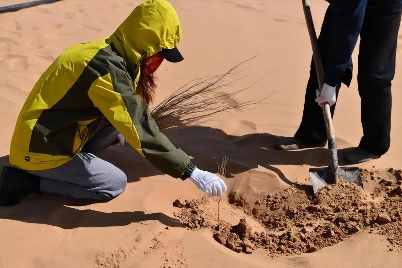 沙漠难道不应该植树造林？为何外国人警告说：沙漠植树弊大于利(图2)
