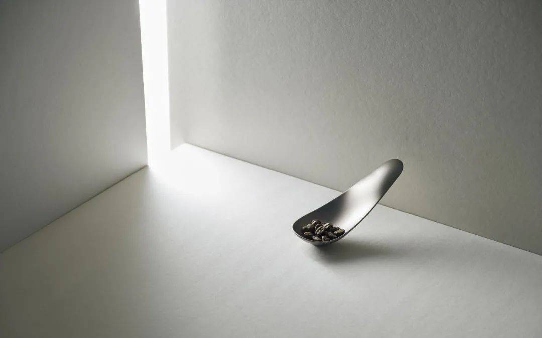 智加设计丨仿生设计—源于自然的灵感,来自生物的创意67_小鸟_排水