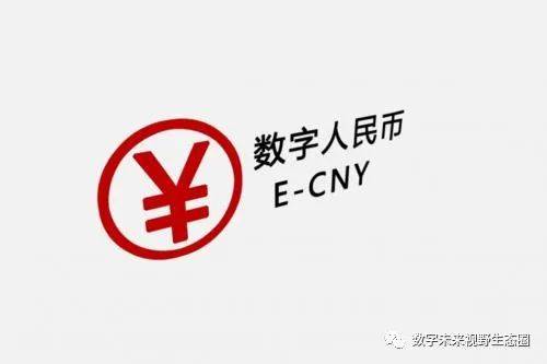 民生银行引领数字人民币在基金销售赎回场景的创新应用_金融_客户