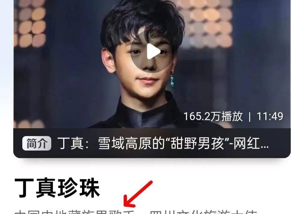 音乐盛典丁真获奖,他和华晨宇,让我看到华语乐坛的"