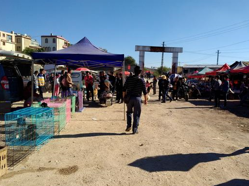 他想要购买一只比格猎犬,也并不是按照商贩的批发价格两块,而是按照