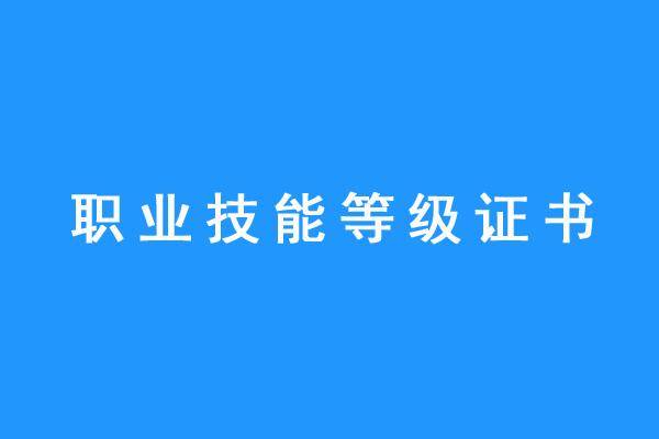 職業技能等級證書真的有用嗎?_評價_國家_人才