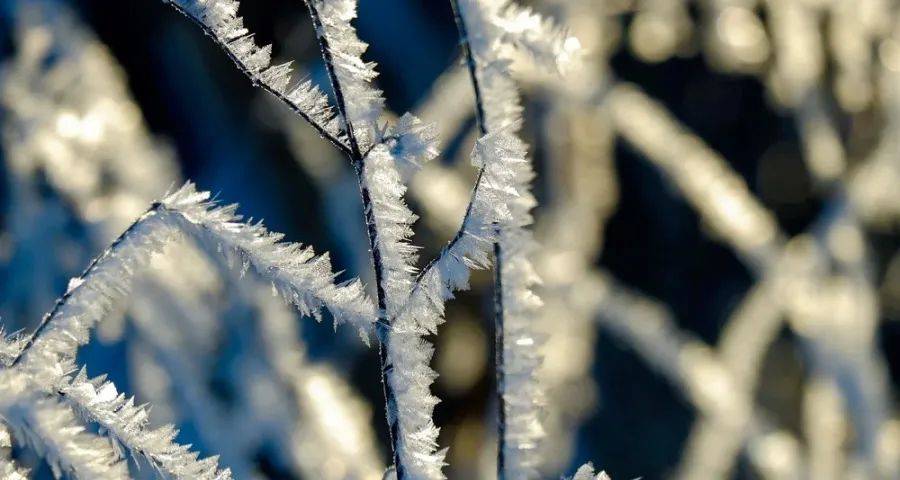 洗地机未来2年在中国市场的蛋糕与陷阱-家电圈官网