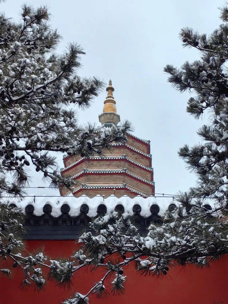 石景山雪景壁紙來了——_八大處公園_承恩寺_壁畫