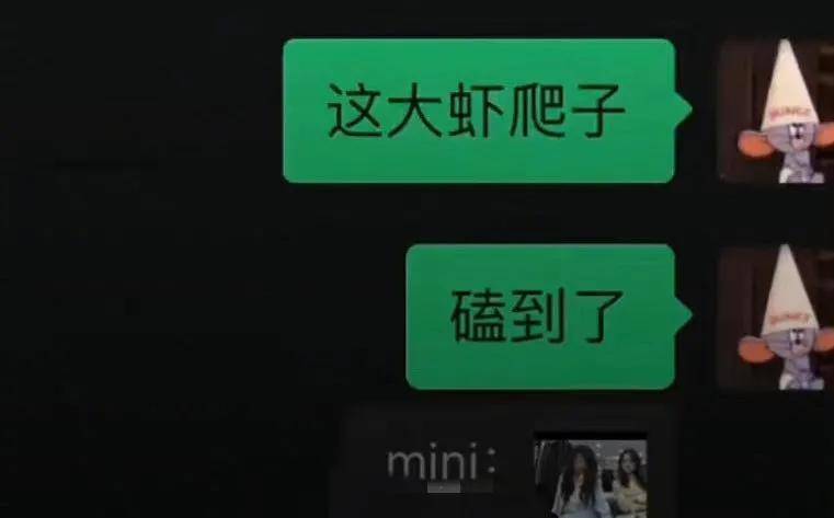 趙麗穎微信名mini撞款楊冪,娛樂圈還有借運一說?_名字_發展_雙方