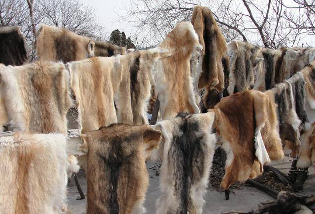 换来中国空军装备更新换代,如今最后一架已经退役_俄罗斯_我国_战斗机