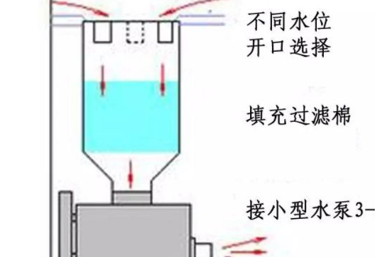 試過這個方法後,再也不用擔心我的魚缸了_水草_水泵_灰塵