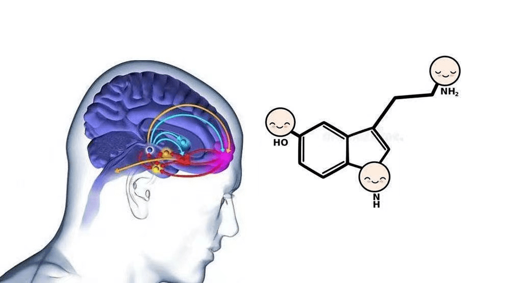 馬奎爾不禁思索:阻斷多巴胺是否能解決口吃問題呢?