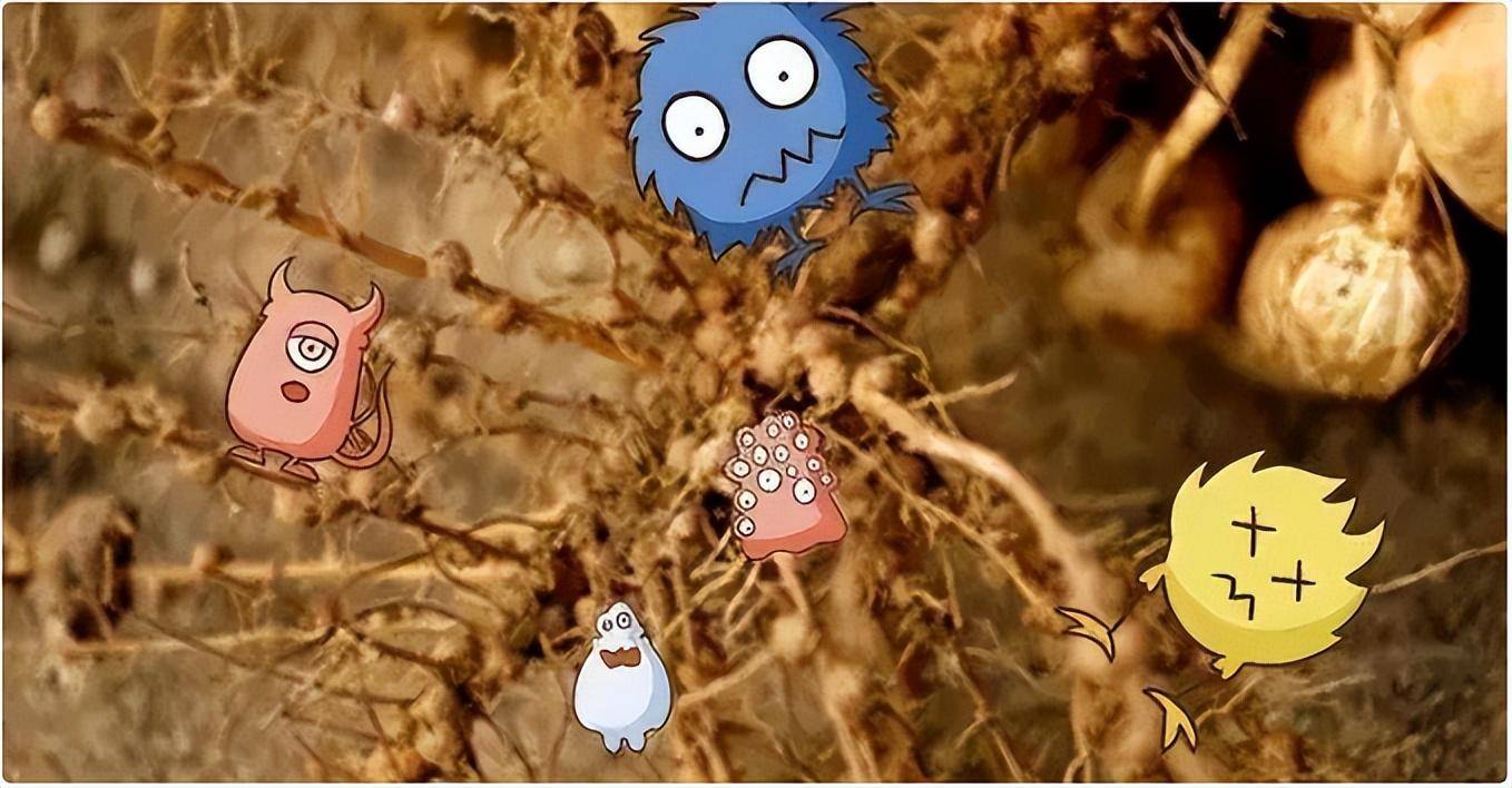 地球上曾出现过上千亿人，这是否意味着，泥土就是由腐尸构成的呢(图13)