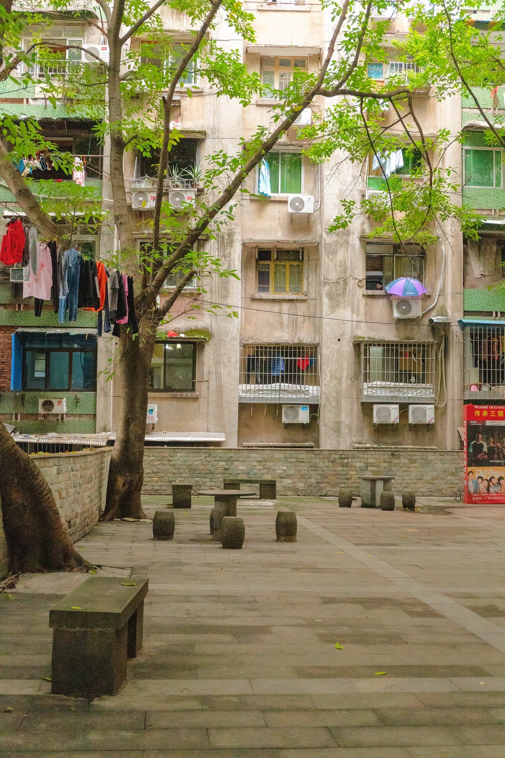 重庆·风犬少年的天空取景地·大兴村_生活_避暑_绿色植物