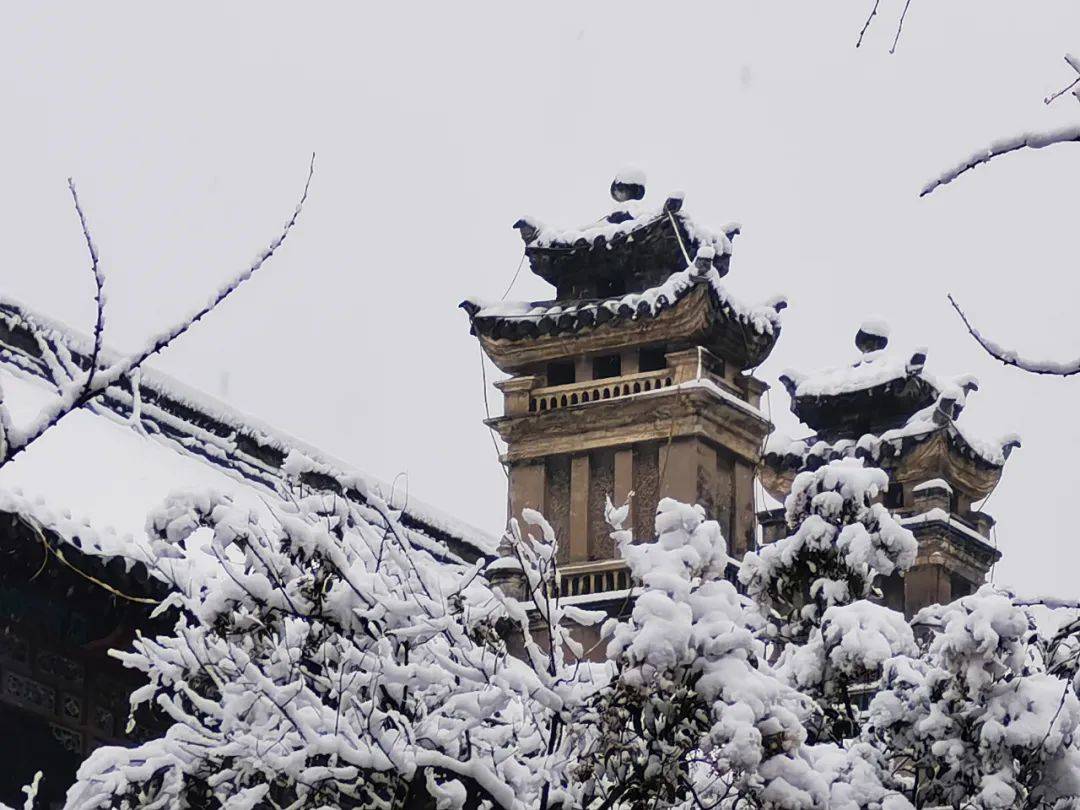 河南大学要“搬走”？开封急了 