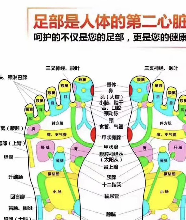 学会辨别5种脚掌颜色