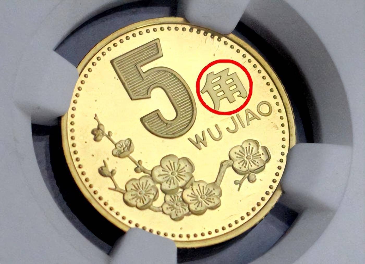 能卖18000元,少见的5角硬币,谁有能力找到?_梅花_价值_版本