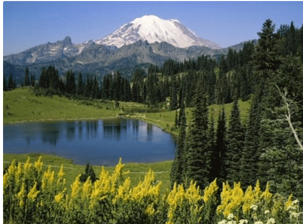 266穹顶之下 中国森林氧吧太白山满山青翠,夏季平均气温20℃,植被