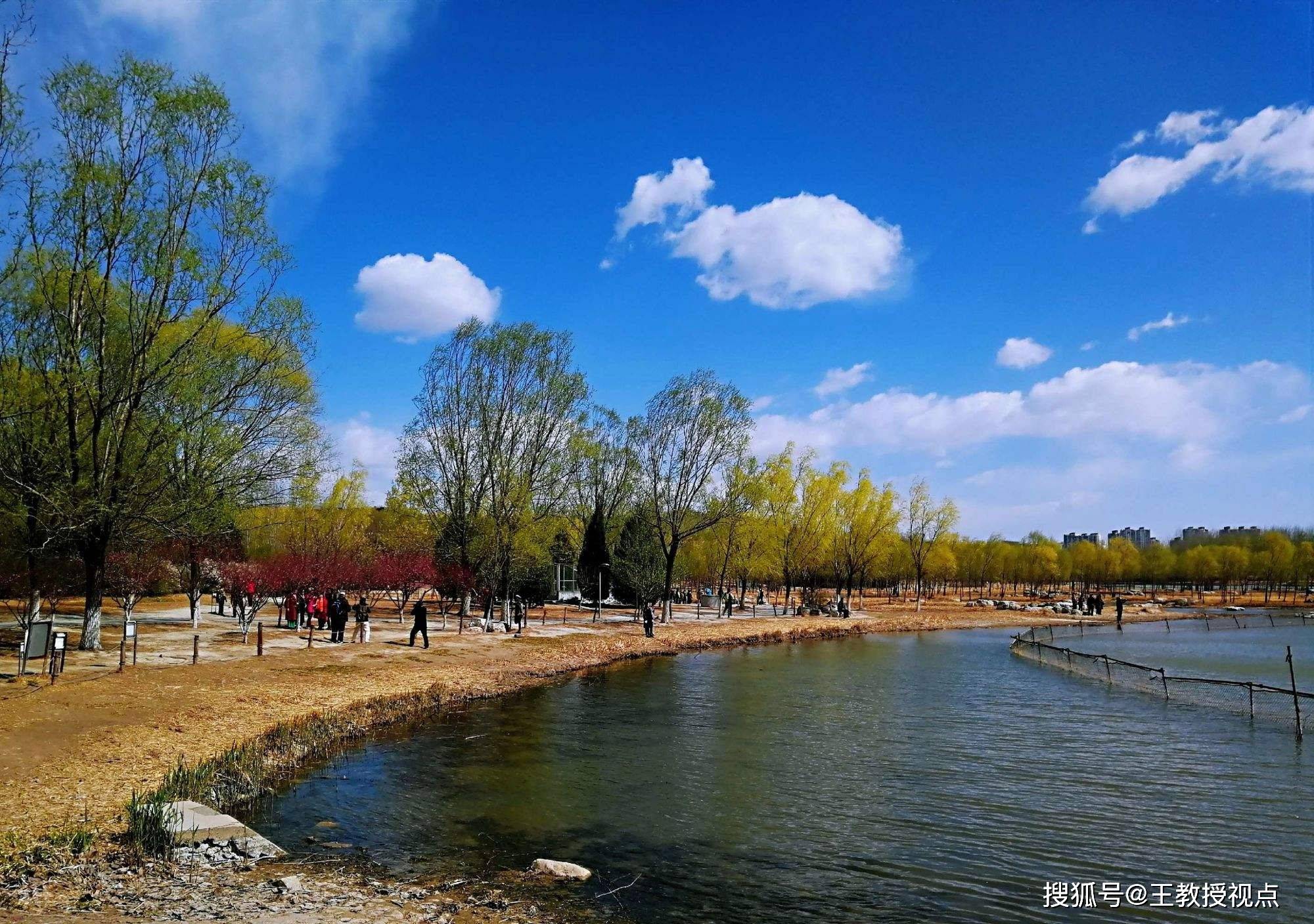 综上所述,奥林匹克森林公园的设计理念和实践充分展示了力学与自然