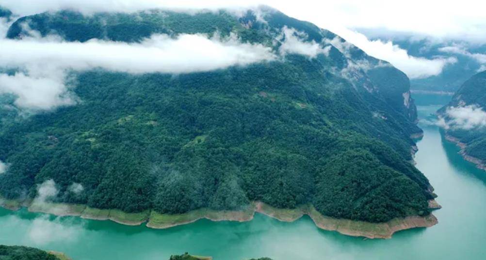 湖南山村發現吸血野人,一看竟是村民走失的幼兒,在山